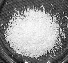 Granulés d'os pour greffe osseuse et sinus lift